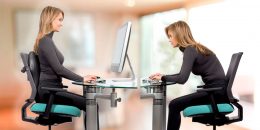 Respaldos Ergonómicos y Cojines Lumbares para Sillas